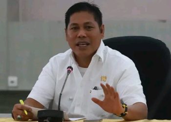 Pembangunan SUTT PLN di Banggai, Irwanto Kulap : Sosialisasi Harus Transparan Sesuai Regulasi