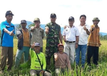 Irwanto Kulap Bakal Dilantik Ketua KTNA Banggai, Naungi Empat Ribuan Kelompok Tani dan Nelayan