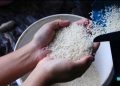 Setelah Edaran Dicabut, Harga Beras Tetap Diatas HET: Di Mana Arah Kebijakan Pangan Banggai?