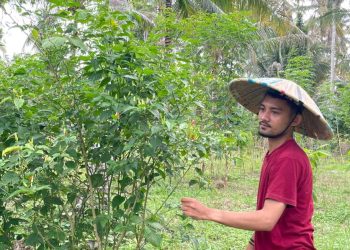 Muda Adalah Spirit Perjuangan, Bukan Sekadar Usia