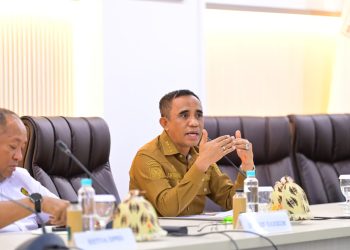 Sikat PETI! Gubernur Anwar Hafid Gandeng Kementerian ESDM, Perkuat Sinergi Penegakan Hukum di Sulawesi Tengah