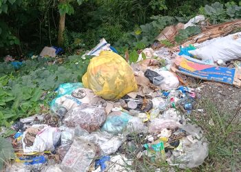 Darurat Sampah di Sindangsari: Jalan Utama Bau, Sungai Tercemar, Kesehatan Warga Terancam