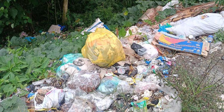 Kondisi Terkini Tumpukan Sampah Di Tepi Jalan Utama Desa Sindangsari,Kecamatan Toili Barat, Kabupaten Banggai, Minggu(16/11/2025)  Dok: Kilasbanggai.com