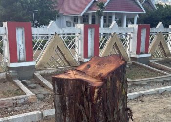 Pohon Peneduh Depan Rujab Ditebang, Gubernur Anwar Hafid Berang: Cari Pelakunya!