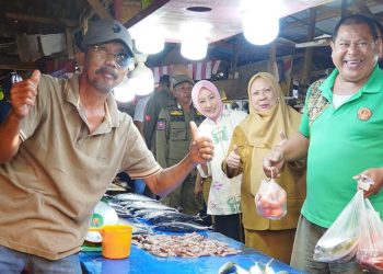 Turun Langsung ke Pasar, Wagub Sulteng Pastikan Harga Sembako Tak Mencekik Jelang Nataru