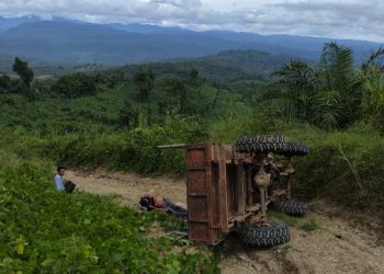 Karyawan Tewas di Kebun Sawit, Begini Respon PT Sawindo Cemerlang