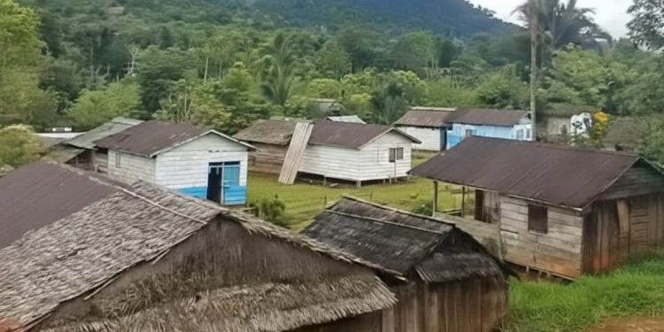 Perkampungan Dusun IV Mumpe, Desa Dodabunta, Kecamatan Simpang Raya. (Dok.ist)
