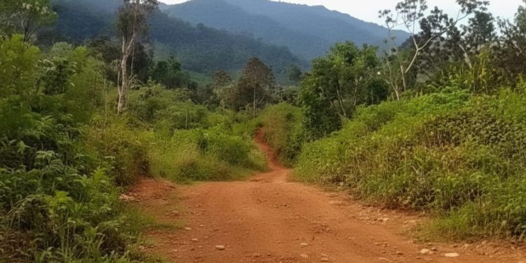 Wilayah Dusun IV Mumpe, Desa Dodabunta, Kecamatan Simpang Raya. (Dok.Ist)