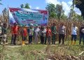 Sinergi KTNA dan Polres Banggai Panen Raya Jagung, Perkuat Ketahanan Pangan Nasional