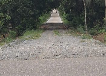 Dinilai Tidak Maksimal, Proyek Pembangunan Jalan Rabat di Desa Demangan Jaya Dikeluhkan Warga