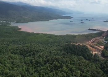 Karang Taruna Banggai Inisiasi Penanaman Mangrove di Lingkar Tambang Nikel Siuna