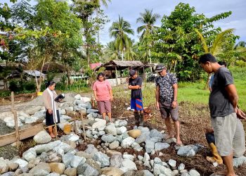 BUMDes Dowiwi Jaya Mulai Pembangunan Kandang Babi: Investasi Ekonomi Jangka Panjang Desa