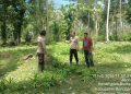 Intensitas Patroli Polsek Bunta Meningkat, Seekor Sapi yang Sempat Hilang Akhirnya Ditemukan Kembali