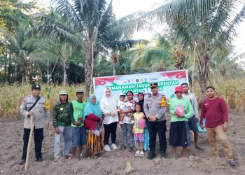 Optimalkan Potensi Pertanian, AGRINAS dan Polsek Bunta Gelar Tanam Jagung Perdana Kwartal I 2026 di Kelurahan Kalaka