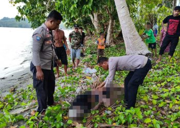 Sedang Asyik Bermain, Dua Bocah di Kintom Temukan Jasad Kakek 70 Tahun di Bibir Pantai