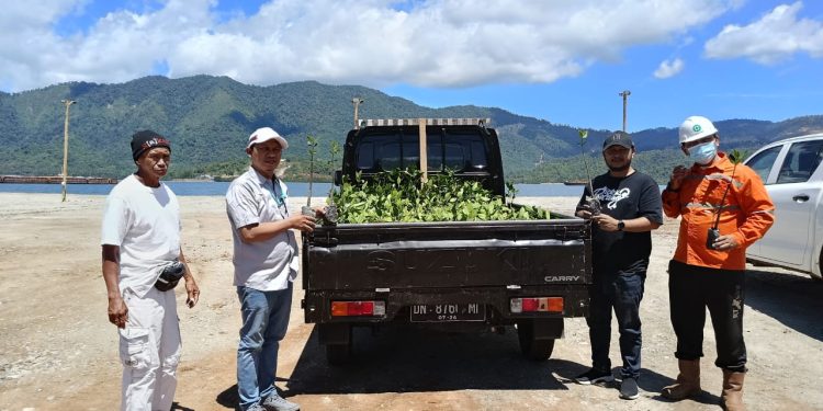 TANAM MANGROVE: Komitmen menjaga kelestarian lingkungan terus ditunjukkan PT Penta dan PT Prima Dharma Karsa. Melalui kolaborasi bersama Karang Taruna Kabupaten Banggai, kedua perusahaan nikel tersebut mulai mematangkan persiapan penanaman bibit mangrove Desa Siuna, Kecamatan Pagimana, Kabupaten Banggai. (HO/Kilasbanggai)