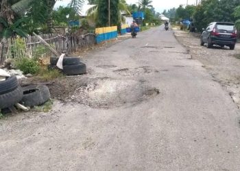 Sebut Harapan Rakyat Terabaikan, Tokoh Pemuda Soroti Pembiaran Jalan Rusak di Luwuk Timur