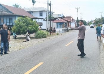 Polsek Batui Buru Pengendara Motor Misterius Terkait Kasus Tabrak Lari di Desa Bonebalantak