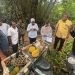 Kawal Potensi Daerah, Kemenkum Sulteng Verifikasi Keunikan Durian Nambo