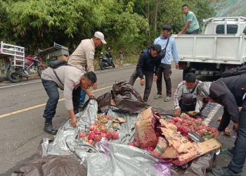 Hilang Konsentrasi Saat Menanjak, Mobil Pengangkut Buah Mundur dan Terguling di Batui