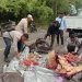 Hilang Konsentrasi Saat Menanjak, Mobil Pengangkut Buah Mundur dan Terguling di Batui