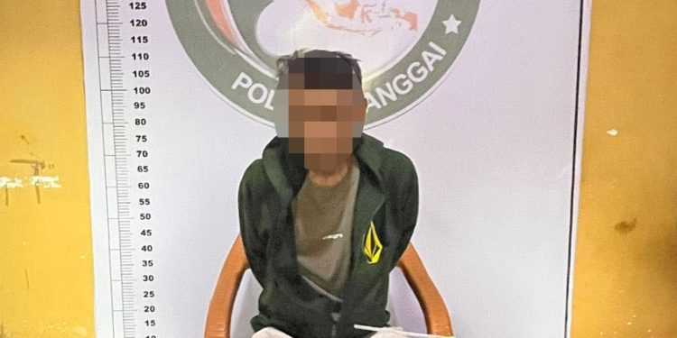 Diduga Edarkan Sabu, Pria Paruh Baya di Luwuk Ditangkap Polisi