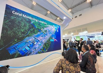 Kerang Raksasa Hidup Damai di Kawasan Konservasi Terumbu Karang DSLNG