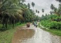 Ruas Jalan Palu-Luwuk Tertimbun Lumpur, Polisi Bersihkan Sisa Material