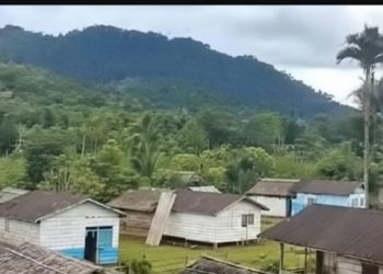 Kandungan Emas Tapi Izin Nikel, Warga Pertanyakan Legalitas Eksplorasi PT Indico di Hutan Mumpe
