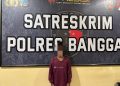 Sopir Tronton di Banggai Nekat Gelapkan Uang Rp8 Juta untuk Bayar Utang