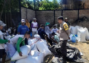 Penggilingan Padi di Luwuk Timur Terbakar, Kerugian Ditaksir Capai Rp500 Juta