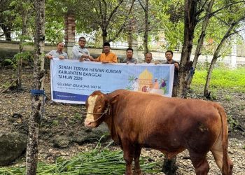 Momentum Iduladha 1447 H, DSLNG Serahkan 21 Hewan Kurban di Banggai, Palu, dan Jakarta