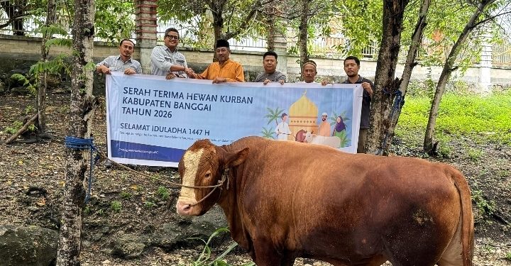 Dalam rangka Hari Raya Iduladha 1447 Hijriah yang diperingati pada 27-28 Mei 2026, PT Donggi-Senoro LNG (DSLNG) kembali menyalurkan hewan kurban sebanyak 21 ekor sapi untuk masyarakat dan institusi pemerintahan di tiga kecamatan wilayah operasi perusahaan di Kabupaten Banggai, di kota Luwuk, di Kota Palu, dan Jakarta. (Dokumentasi DSLNG)
