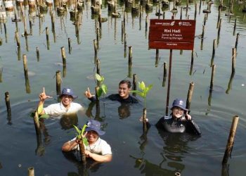 Mangrove Perkuat Ketahanan Pesisir Jakarta, DSLNG Wujudkan Aksi Lingkungan di Luar Area Operasi