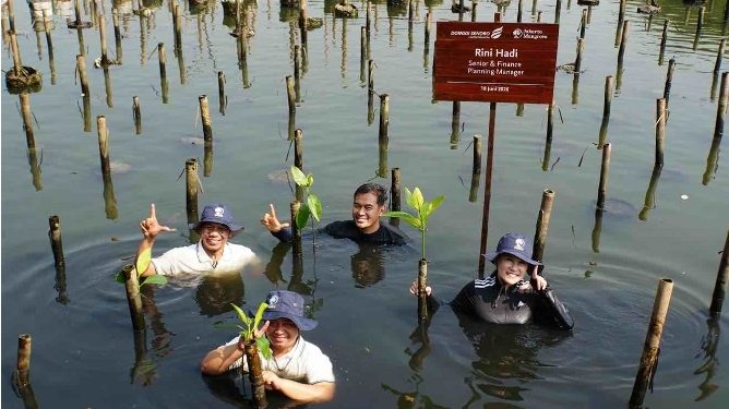 Mangrove Perkuat Ketahanan Pesisir Jakarta, DSLNG Wujudkan Aksi Lingkungan di Luar Area Operasi