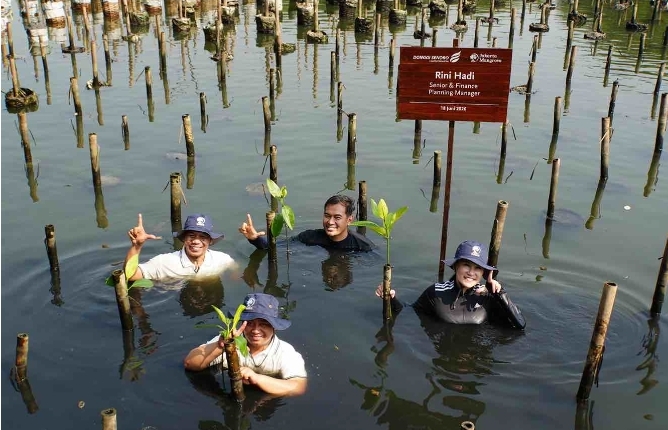 Mangrove Perkuat Ketahanan Pesisir Jakarta, DSLNG Wujudkan Aksi Lingkungan di Luar Area Operasi