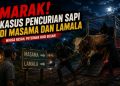 Teror Pencuri Sapi Hantui Warga Banggai, Polisi Diminta Bongkar Sindikat Pelaku