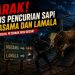 Teror Pencuri Sapi Hantui Warga Banggai, Polisi Diminta Bongkar Sindikat Pelaku