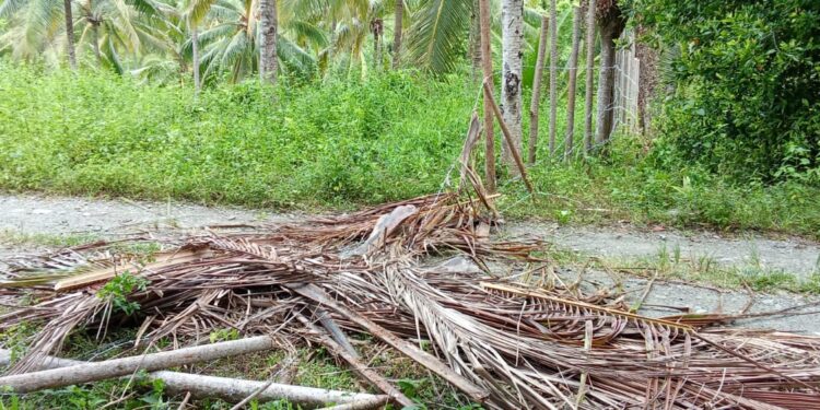 Warga Bongkar Akses Menuju Jalan Usaha Tani di Desa Mantan A, Kecamatan Simpang Raya yang Dipagar. (Dok.Kilasbanggai)