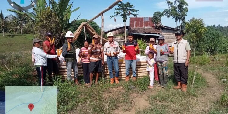 Kelompok tani binaan PT KFM berhasil panen Raya Jagung. (Dok.Ist)
