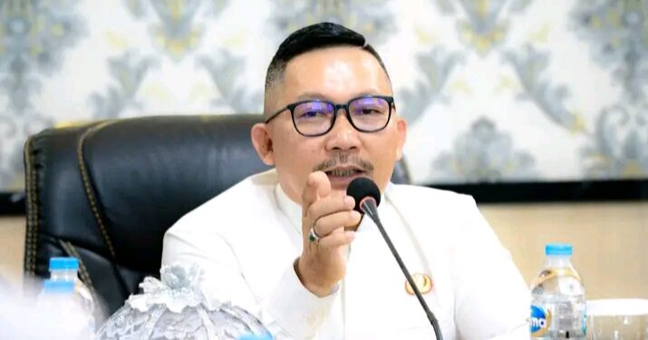 Bupati Banggai, Amirudin Tamoreka